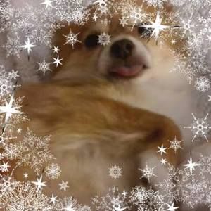 Meet your Posher, Rita